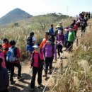 사하구-27 이미지