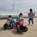 행복한농장 | 대전 세종 딸기체험 행복한 농장