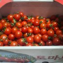 헤브론팜 이미지