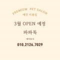 파파독 동해 이미지