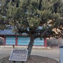 김구농장 이미지