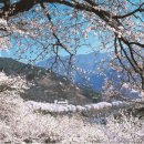 대촌길 | [경상남도 하동군] 악양별서