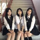 다흰 이미지