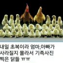 2021년7월12일 월요일(출석부)나를 표현하는 방법10가지 이미지