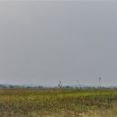 구포역2 이미지