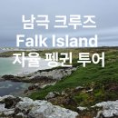 배낭 속 크루즈 | 남극 크루즈 Celebrity Equinox 타고 간 포클랜드 제도 자율 투어 펭귄을 코앞에서?!
