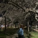배붕