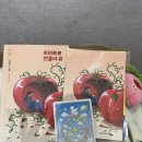 안정빌딩 | 조예은 작가 토마토로 만들어 줘 북토크 후기 @창비서교빌딩