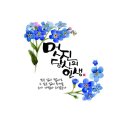 당신의인생사진