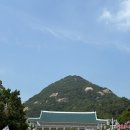 힘듦 | 청와대 관람 후기(feat. 더움 주의, 예약 힘듦, 7월 관람 끝)