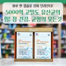 티에스(TS) 시스템 | 하루 한 캡슐로 장이 달라진다! TS Max 프로바이오틱스 핵심 성분·복용법 종합 안내🤗
