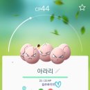아라리