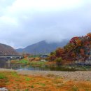 백석탄골부리캠핑장 이미지