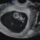 대감도시락 이미지