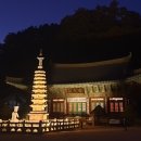 영감사 Daum카페