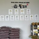 팥도리 이미지