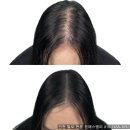 염색팡팡 이미지