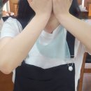 GR(태안군)-[동백로]-상-2 | 🦀 태안에서 살아남기 🦀 (몽산포해수욕장 갯벌체험 후기 | 안면카트체험장 | 태안 감성 카페 논리니어...