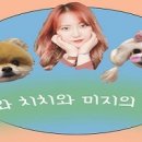 금두꺼비식당 이미지