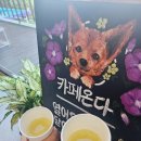 카페온다 이미지