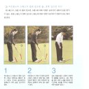 스시풀 이미지