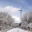 제208차 1월4일 정기산행 평창/횡성 태기산Again(1261m)_ 이미지
