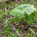 방동농장 이미지