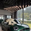 에이스그린모터스 이미지