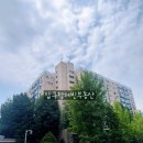 압구정-119 이미지