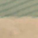 일기상사 이미지