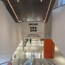 [전시회] 우연히, 웨스앤더슨 : 그와 함께 여행하면 온 세상이 영화가 된다. 전시관람 후기