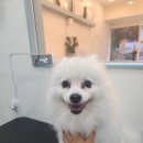 뚜뚜네 미용실 이미지