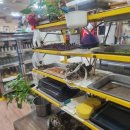 도매만상 이미지