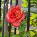 화장장 화장실 이미지