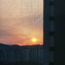 교촌치킨 단양점 | '26. 다섯번째 일상, 나의 작은세상 모음🌈