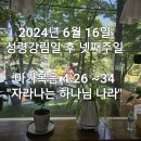 2024년 6월 16일 성령강림일 후 넷째주일 예배 이미지