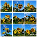 만회농장 이미지