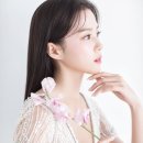 포레스타스프링 이미지