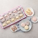 주식회사 시루아네