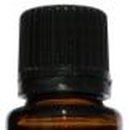 씨트루스 이미지