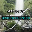 물고기의눈물이호수로 이미지