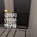 반려견 이해하기(펫) | 강아지 현관 탈출 걱정 끝!백구몰 펫도어 설치 후기