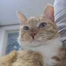 마타타비 | 행복은 능동적인 것이라