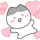 청양임꺽정한우