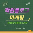 2학기(3월~6월) / 기초부터 배우는 수채화(월-10시) | 학원블로그마케팅, 등록률이 두 배 올리는 노하우
