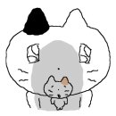 내모토끼