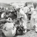 백의민족 이미지