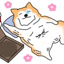 용덕장코다리 대연점 이미지