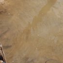 초암약수터 이미지