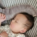 코끼리세탁 이미지